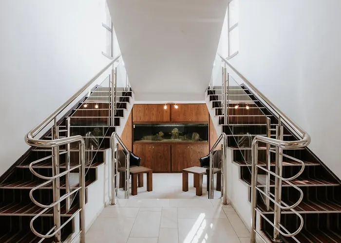 Bonaparte קושיצה